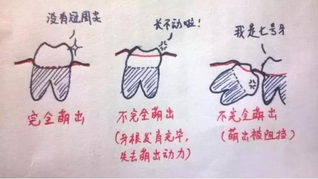 Ϊʲô���˳��ǳݣ�������ȴ�������᳤��