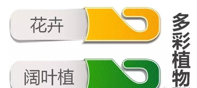 2019年开童装店卖什么款式的衣服?聪明故事带你分析春夏流行趋势