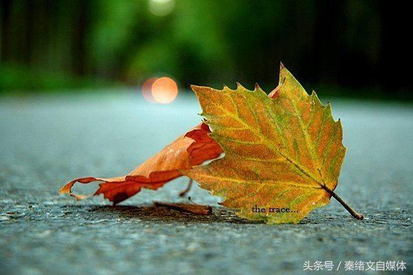��һǧԪ������ʲôС���⣿����ý�壿�������ˣ�