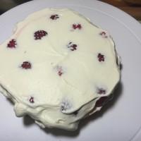��ݮ�����͵������������