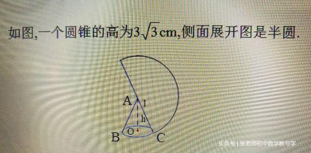 冲刺中考21:圆锥底面半径,母线长及侧面积