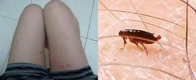 ������ּ��������飬ֻ���������������ͨͨ�����ˣ�