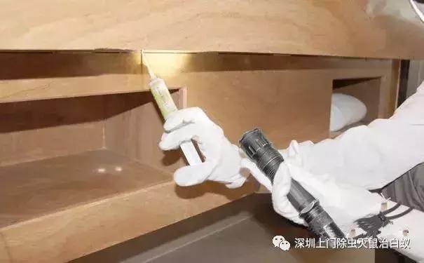 �����������ô�죿ʷ����ȫ������Ч�ļ�ͥ��󯷽��