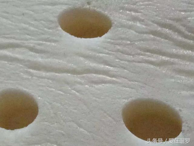 ̩���齺������˾��Ҳ���ӣ�