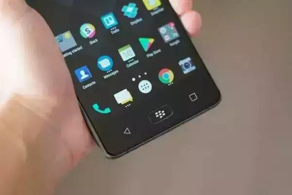 �����еĺ�ݮ�ֻ���ֵ������