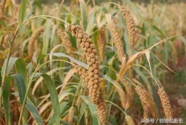 大多数人不知道却非常厉害的10个中国古代发明,最后一个你知道吗