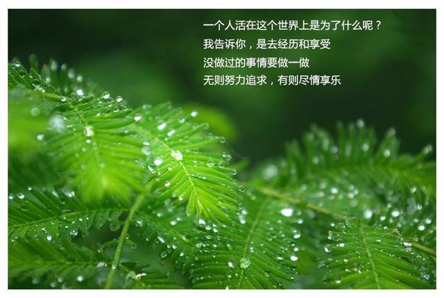 �˻��ŵ�����