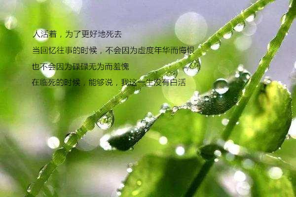 �˻��ŵ�����