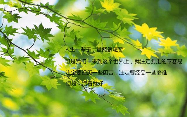 �˻��ŵ�����