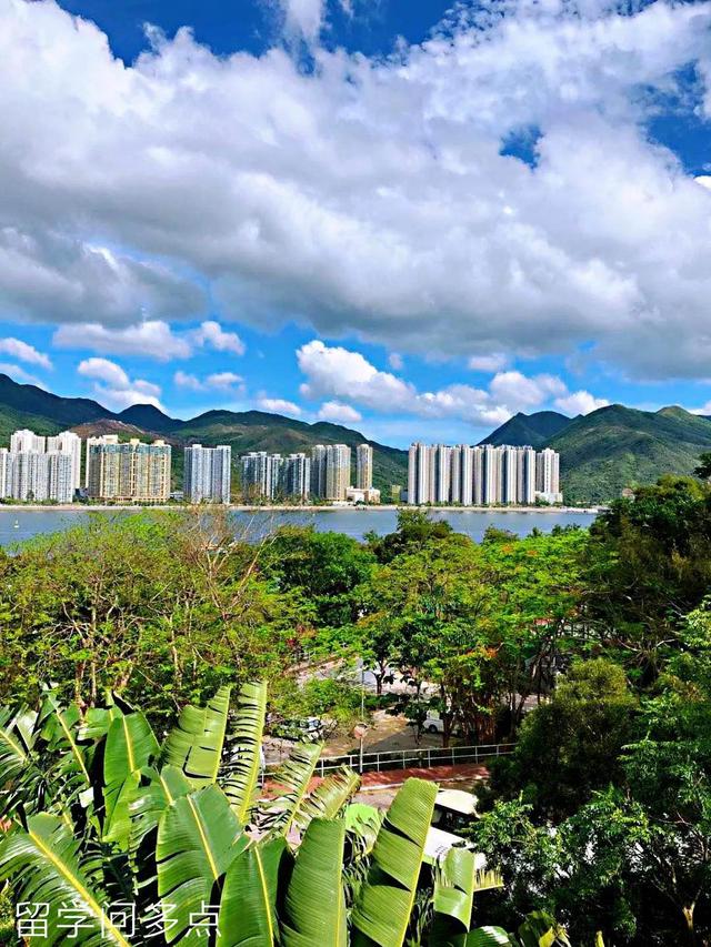 ѧ���������������Ĵ�ѧ (CUHK) �Ͷ�������һ�����飿