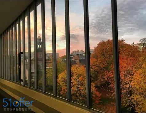 Ϊʲô����ô��ѧ��ϲ�����ȴ�ѧ�����������