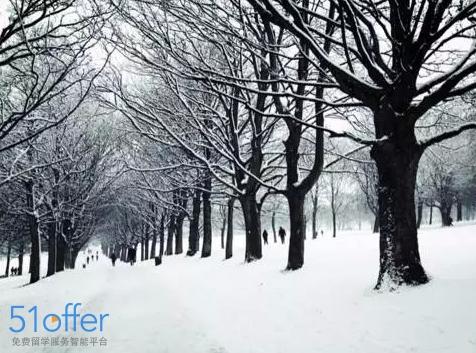 Ϊʲô����ô��ѧ��ϲ�����ȴ�ѧ�����������