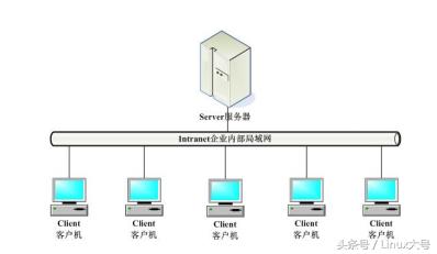 计算机网络概述:我们可以用网络干什么?路由器都有什么用?
