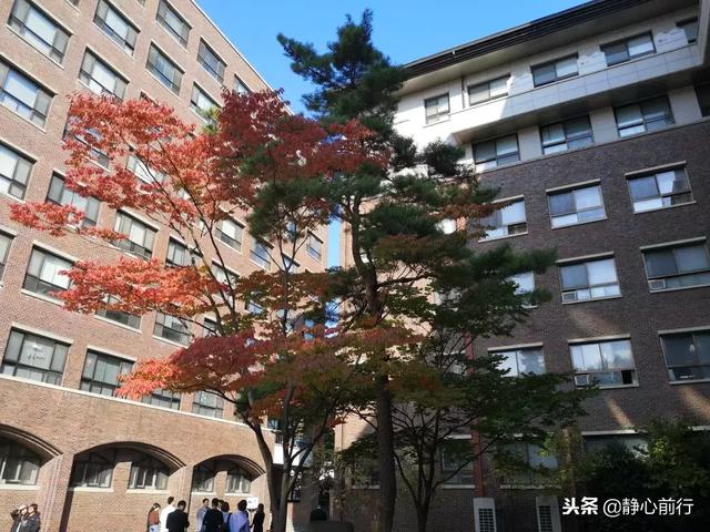 原来,韩国湖南大学长这个样子啊
