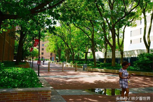 坐落在古老费城的美国天普大学