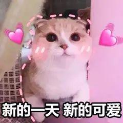 ���Ǿ���˵�ġ���ϵ��񡱾�����ʲô���ӵ��أ�