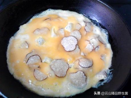 什么是黑松露?它的营养价值有哪些?黑松露煎蛋的做法是怎样的?