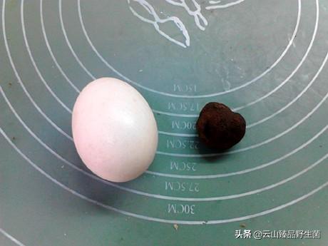 什么是黑松露?它的营养价值有哪些?黑松露煎蛋的做法是怎样的?