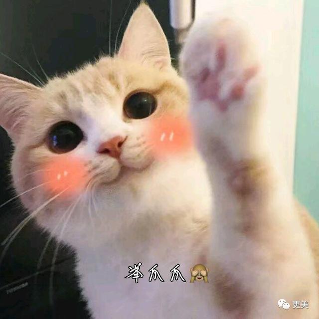 baby������ԡ��ǻҼ����ۡ���ȴ����������¶�����š���