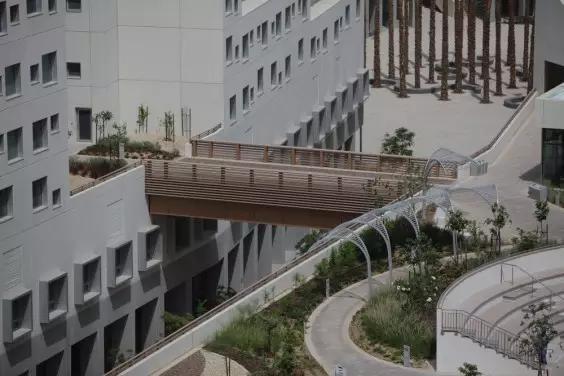 纽约大学阿布扎比分校:沙漠中的明珠
