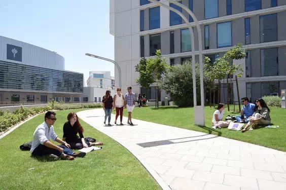 纽约大学阿布扎比分校:沙漠中的明珠