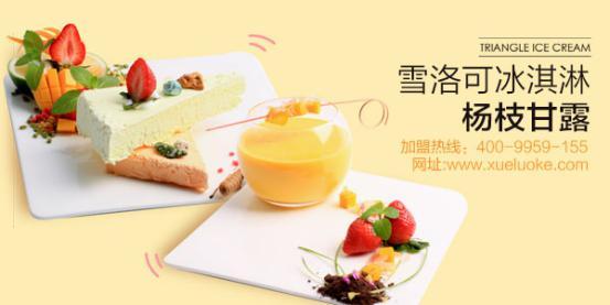 雪洛可冰淇淋加盟品牌,开店的有力保障
