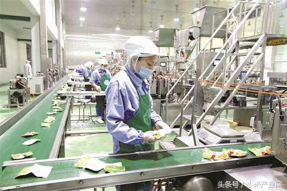 在农村开这4个加工厂,不愁没销路