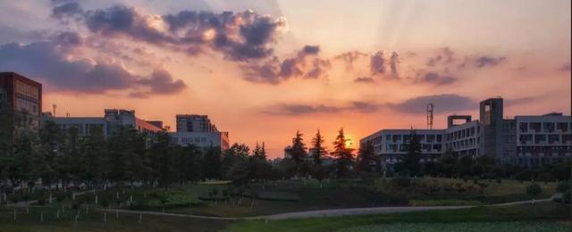 Ϊʲôѡ������ʯ�ʹ�ѧ����ʮ������һ��������