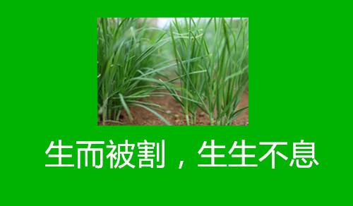 ɶ��������رҲ����ʽ�����2���µ�