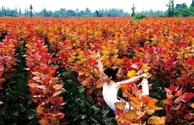 ��ѧ����Ů��Ҳ��׬��Ǯ���ʺ�Ů������С������
