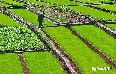 2019国家征收农村土地补偿最新政策!每亩补偿多少钱?
