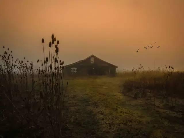 �����˼��ÿ�Ƭ���ĳ�������ʲôЧ����