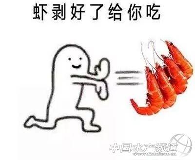 吃了这么多年虾,你能分清品种吗?