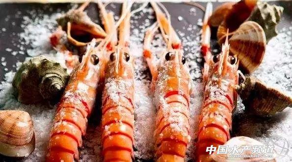 吃了这么多年虾,你能分清品种吗?