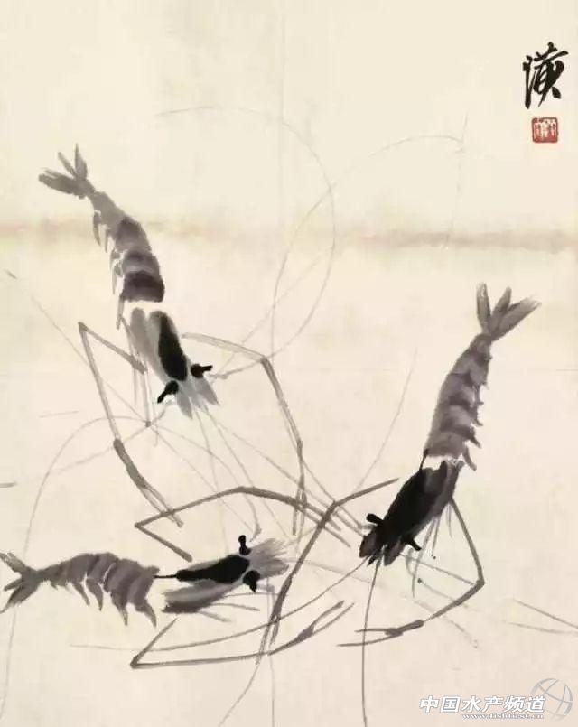 吃了这么多年虾,你能分清品种吗?