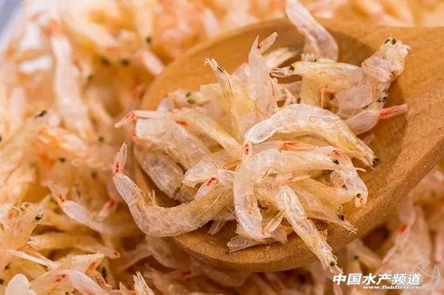 吃了这么多年虾,你能分清品种吗?