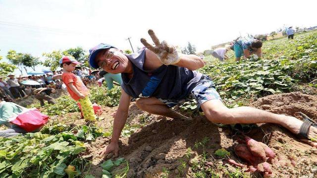 农村这两个特色产业,3年内将会崛起,抓住机遇会发展的好