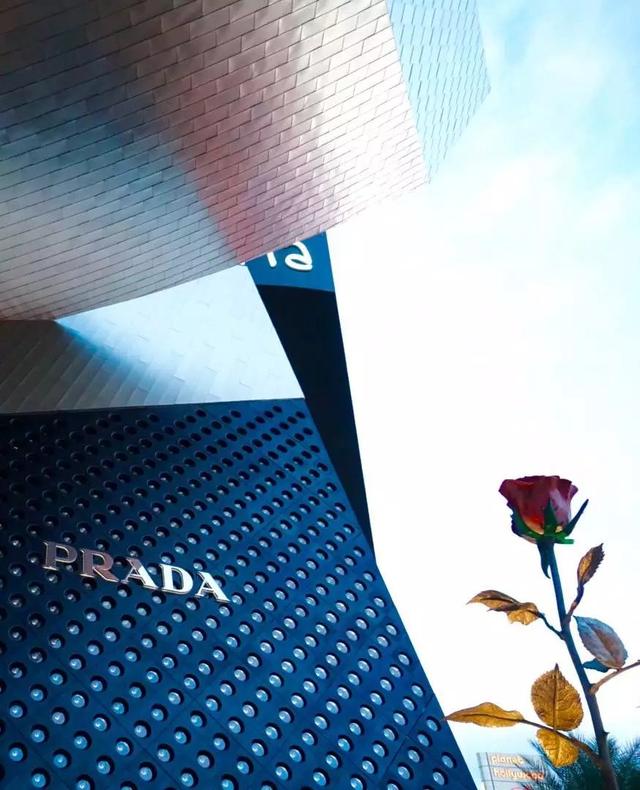 人们为什么喜欢咖啡厅,原来咖啡厅里有秘密