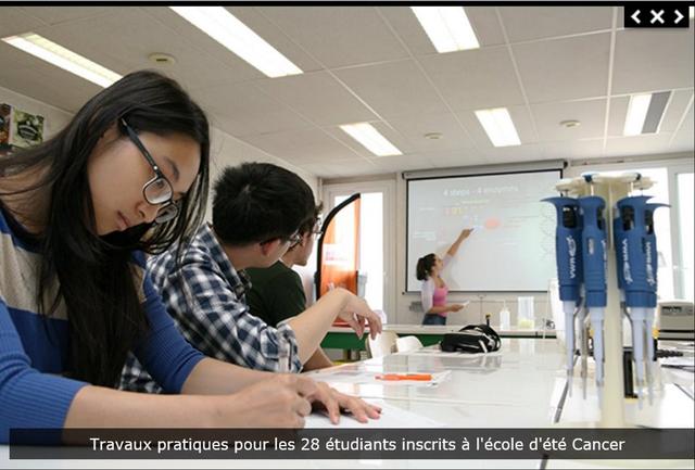 走遍法国学校:昂热大学
