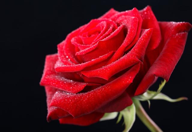 Ӣ���Ĺ�����ѧ����Щ�����ͼ��ɣ��û��俪�ø�����