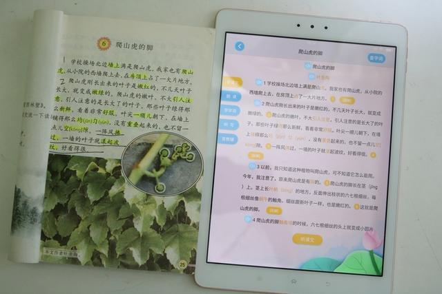 四年级小学生使用步步高家教机S3 Pro两个月后的体验总结