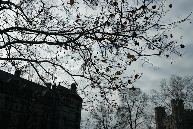 带你全方位看世界名校--美国的普林斯顿大学