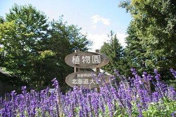 日本——北海道大学
