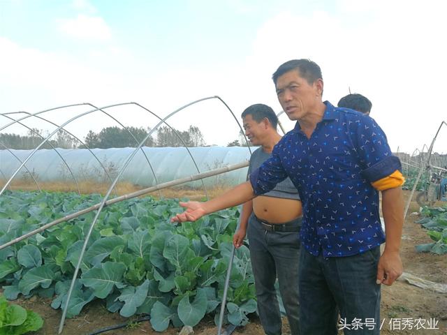 农村人搞种植赚大钱,惹邻居羡慕,都说他运气太好