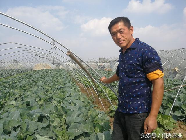 农村人搞种植赚大钱,惹邻居羡慕,都说他运气太好