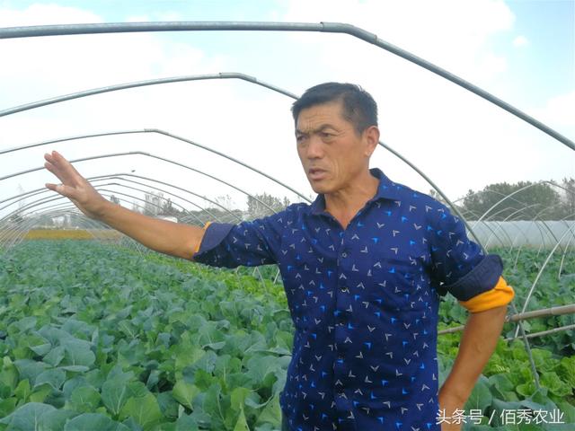 农村人搞种植赚大钱,惹邻居羡慕,都说他运气太好