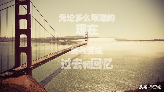16ƵӪ