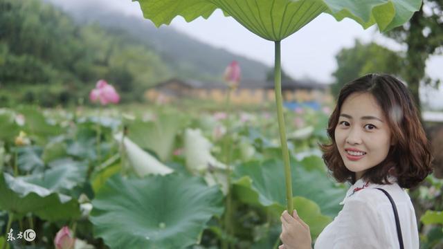 只知道荷花象征“君子”?其实荷花拥有六大象征意义!