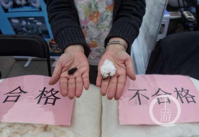 棉絮越白越好? 专家教你三招鉴别“黑心棉”