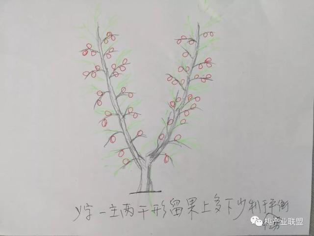 ����:���·��������Ҫ���ɡ���